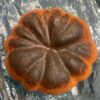 Pumpkin Pie Hair and Body Bar - 3.5 oz - Image 2