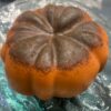 Pumpkin Pie Hair and Body Bar - 3.5 oz